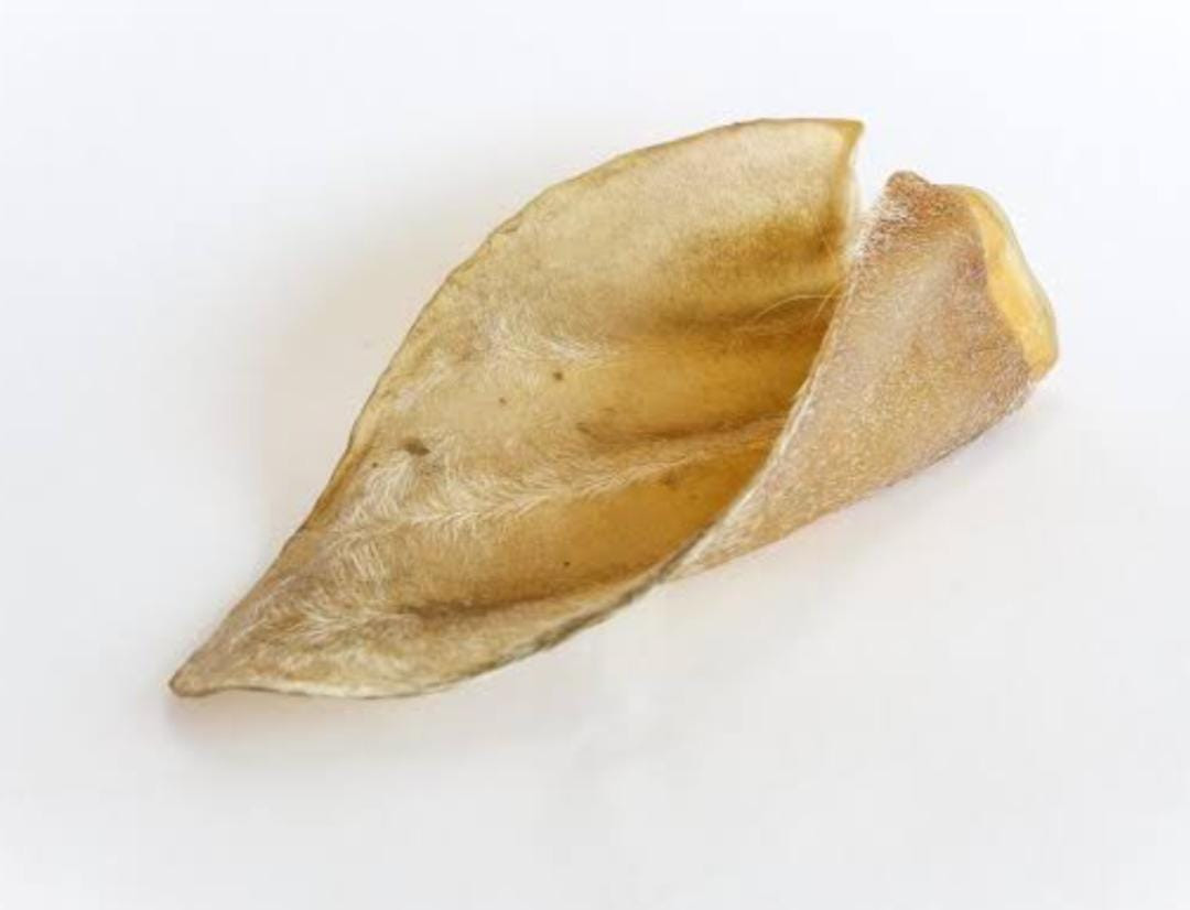 Orelha Bovina Desidratada