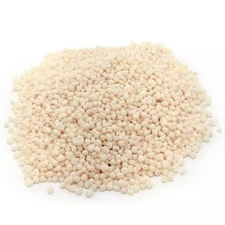 Flocos Arroz (100g)