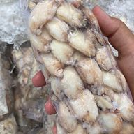 Patinha de caranguejo (1kg)
