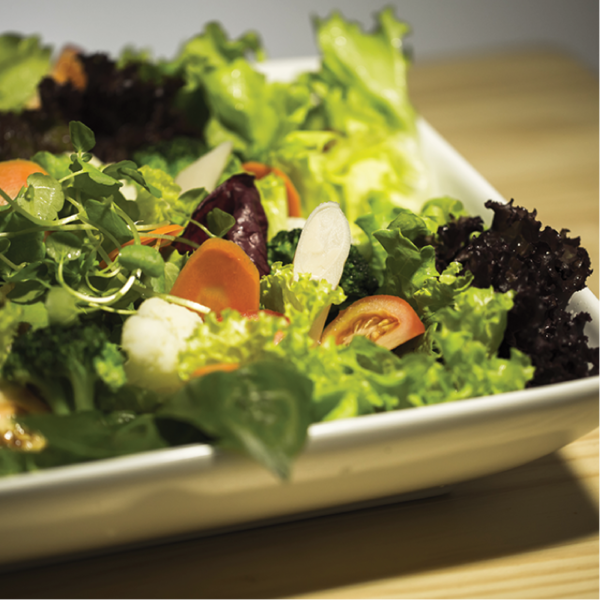 Salada da horta