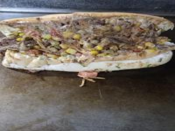 DOG MISTO (2CARNES A ESCOLHA)