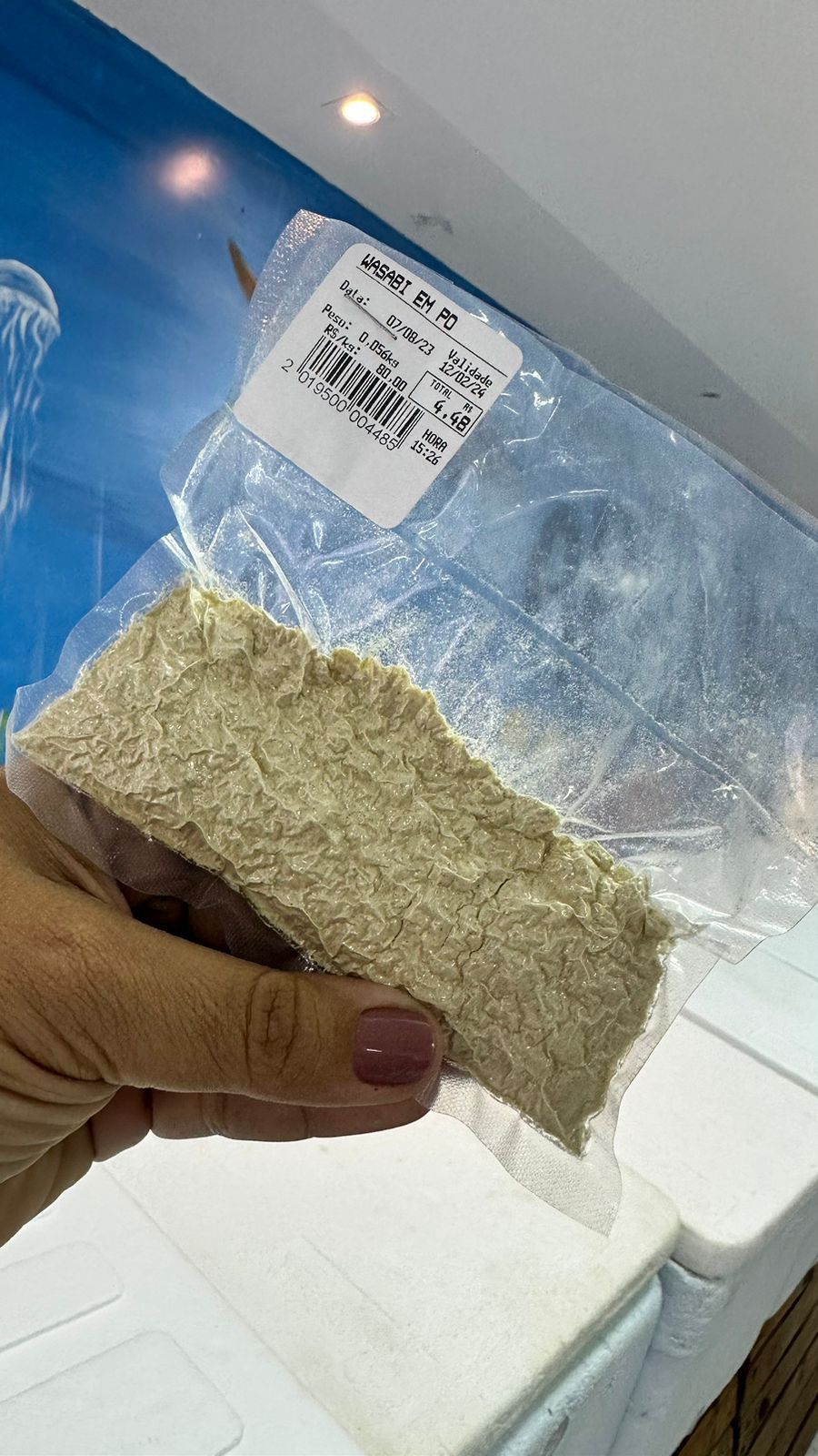 Wasabi em pó (100g)