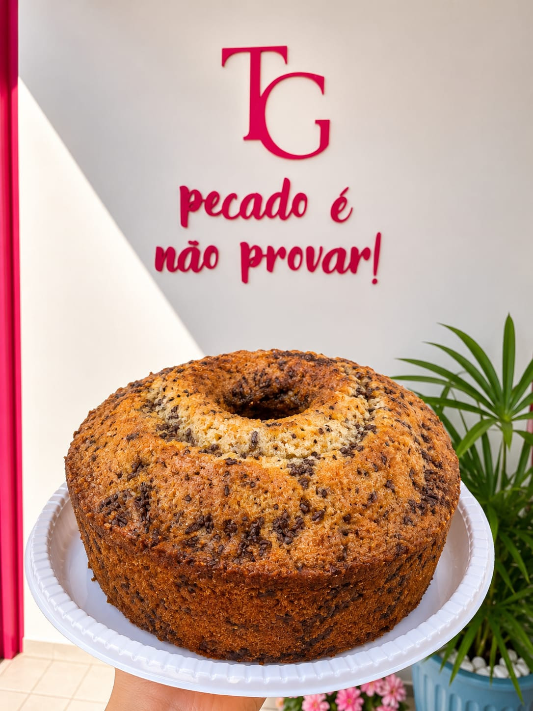 BOLO FORMIGUEIRO 1KG