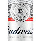 BUDWEISER 350ML