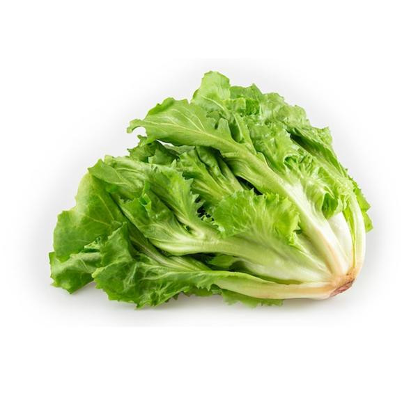Chicoria Un