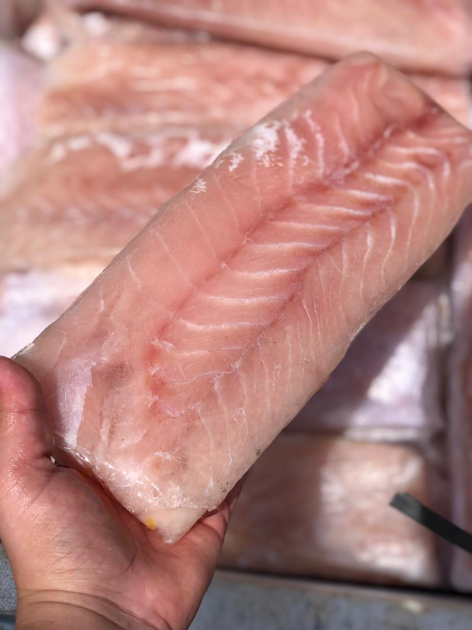  Filé de corvina congelado (1kg)