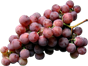 Uva 500ml
