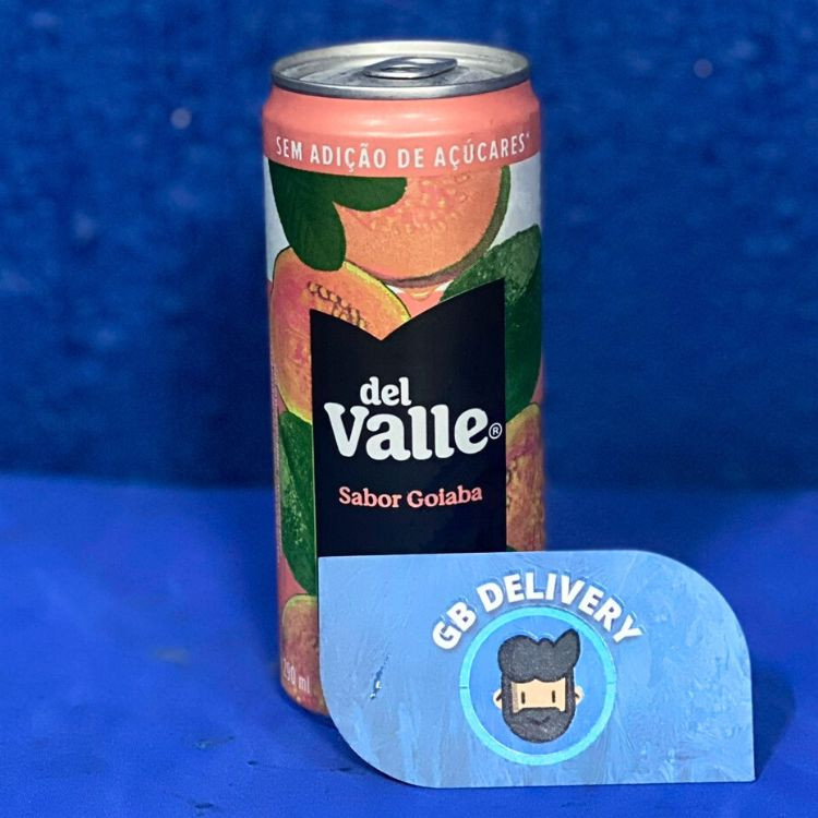 DEL VALLE SABOR GOIABA 290ML LT