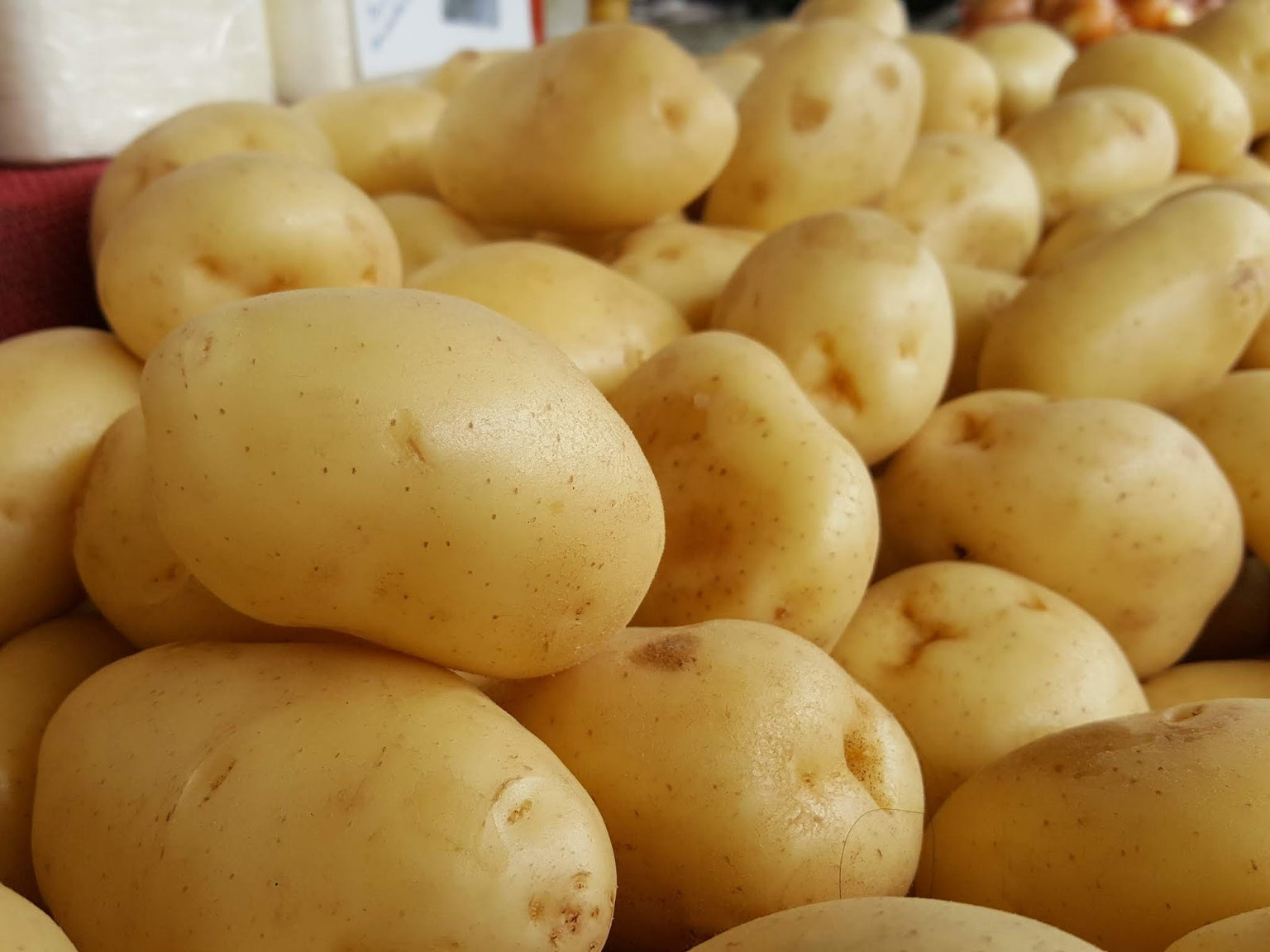 BATATA LAVADA LEGUMES