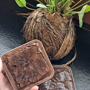 BROWNIE CHOC MEIO AMARGO
