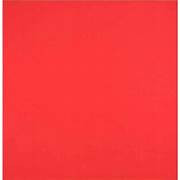 PLACA DE E.V.A 40X48  VERMELHO 9719