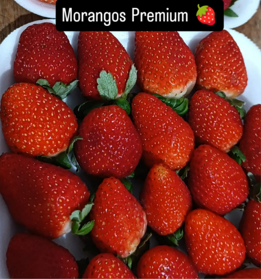MORANGO NATAL PREMIUM BANDEJA