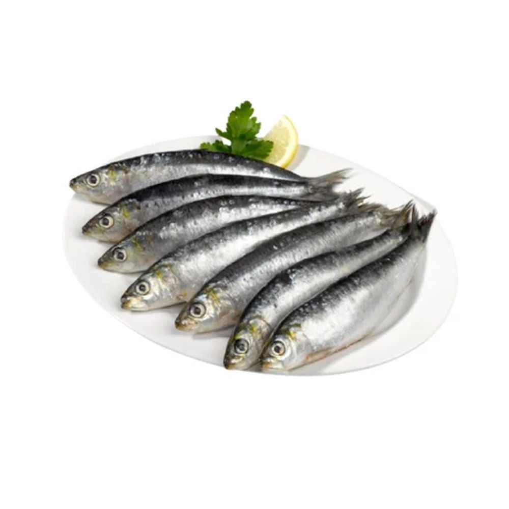 PEIXE SARDINHA KG