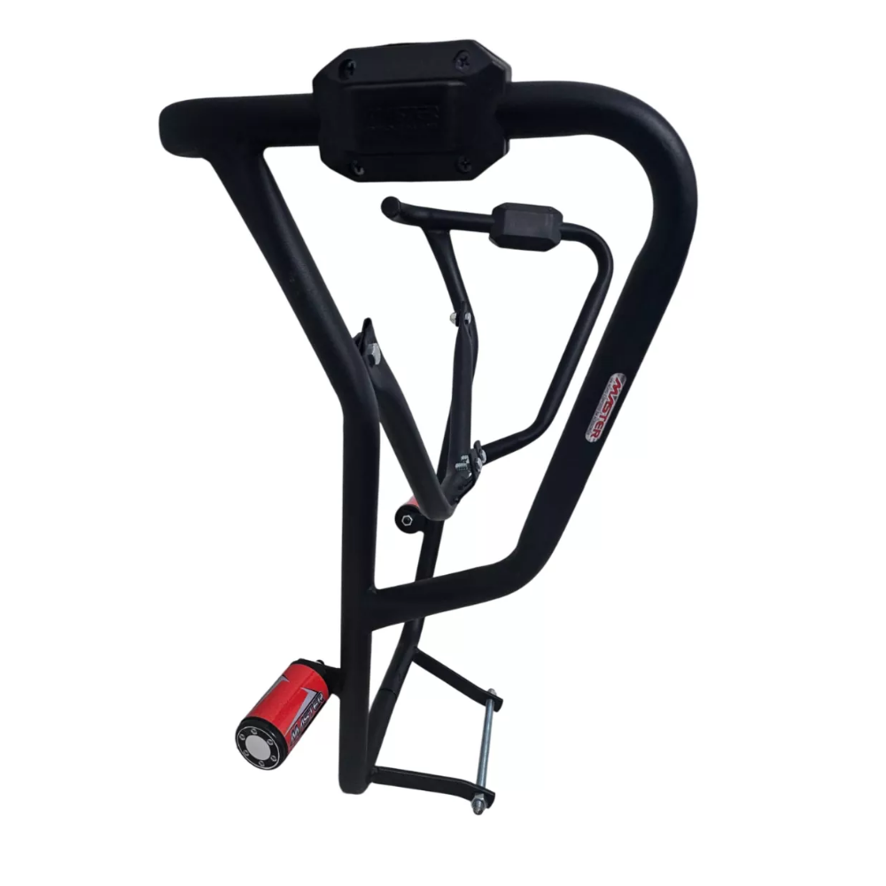 PROT CAREN LANDER 19/2024  ESB/VERM.