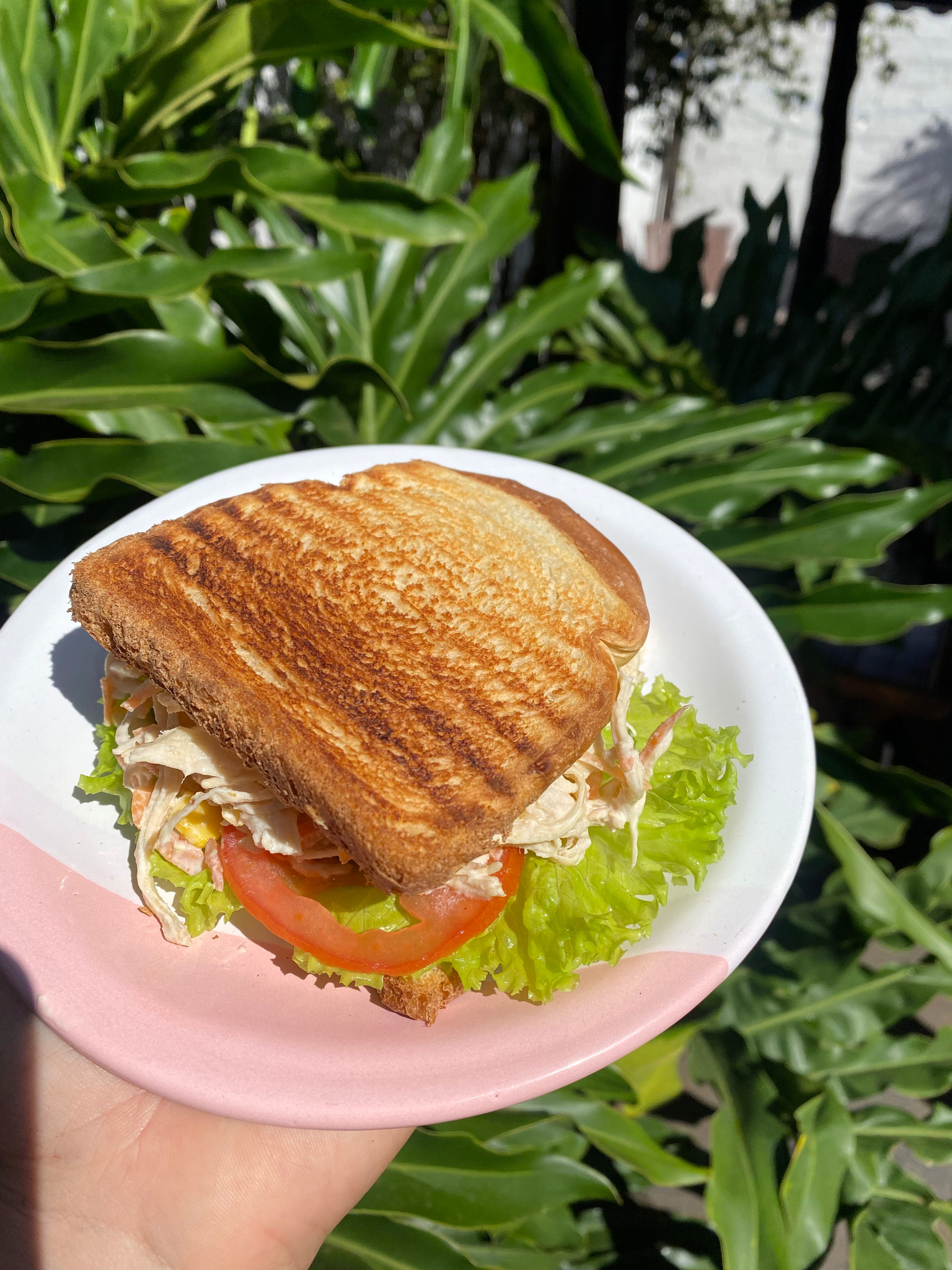 NATURAL DE FRANGO 🥗🥪🐔