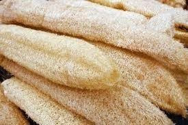 BUCHA VEGETAL PARA BANHO 2 IRMÃOS INTEIRA 