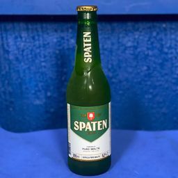 SPATEN LN 355ML