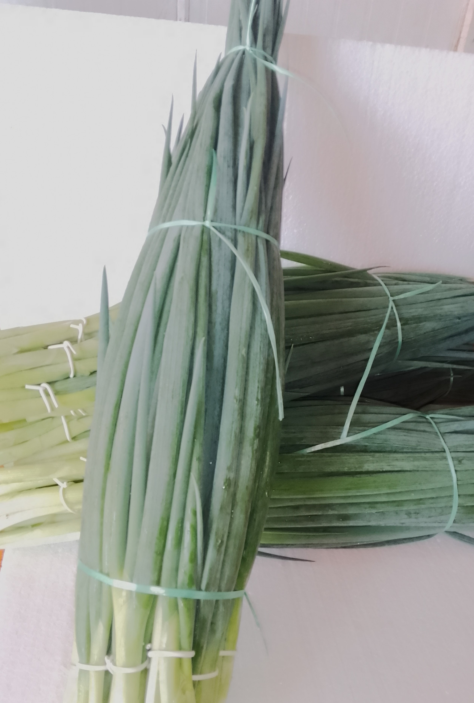 CEBOLINHA (DÚZIA)