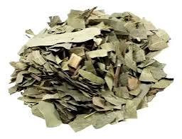 Eucalipto (100g)