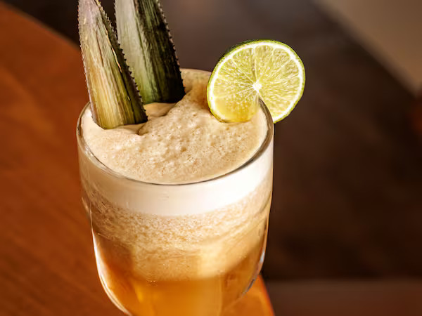 Suco funcional natural De Sultan