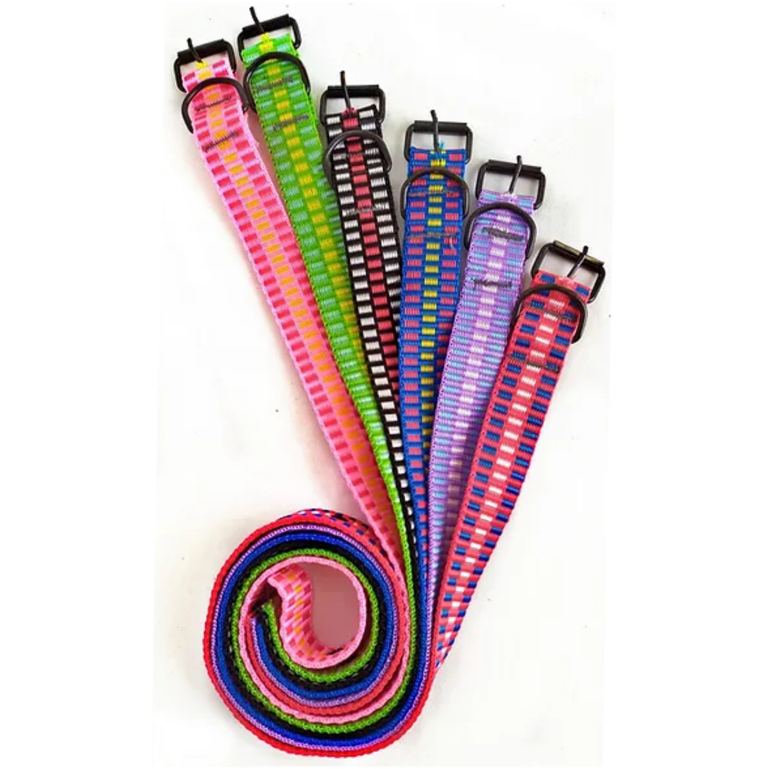 COLEIRA P/ CAES PROMASTER NYLON N8