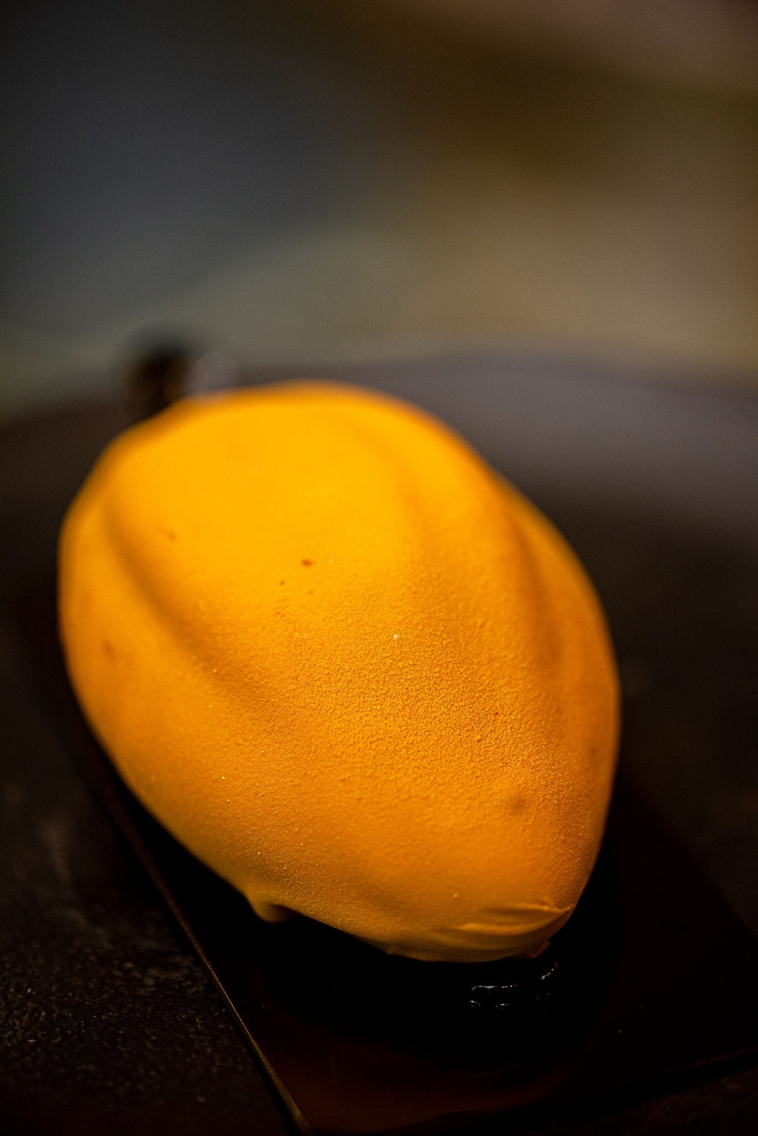 Entremet de Cacau & Cupuaçu
