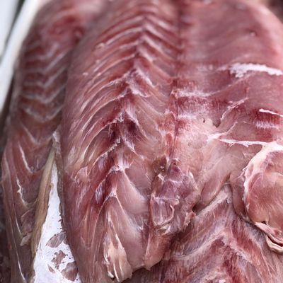 Filé de pescada amarela (1kg)