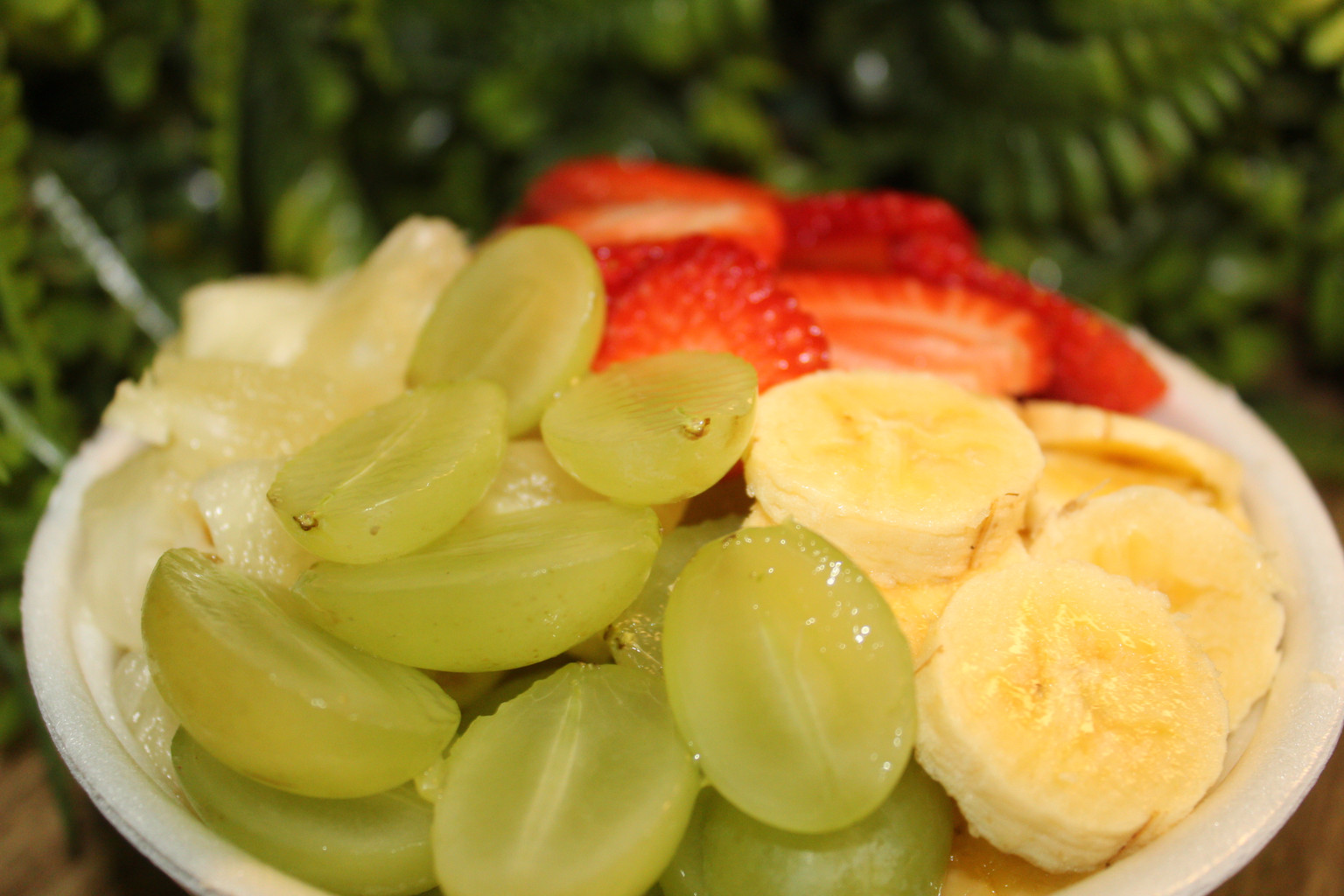 Salada de Frutas (200 ml)