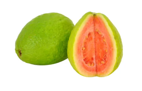 GOIABA 