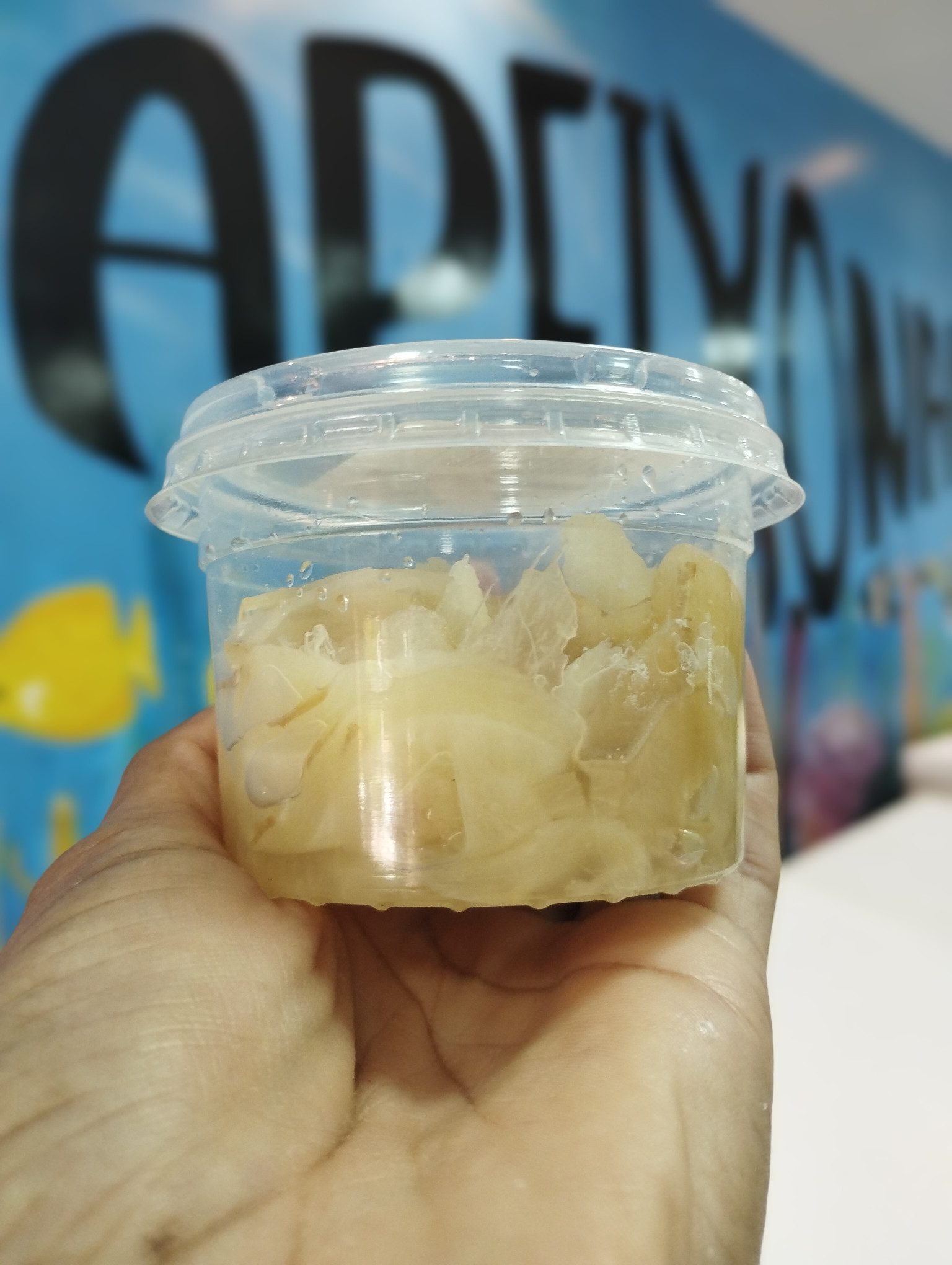 Gengibre fatiado (100g).