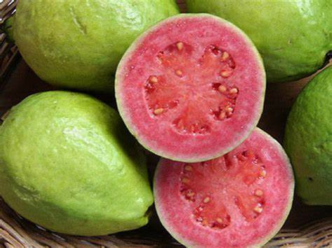 GOIABA FRUTA