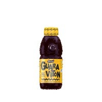 GUARAVITON AÇAI