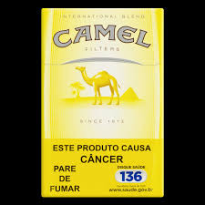 CAMEL