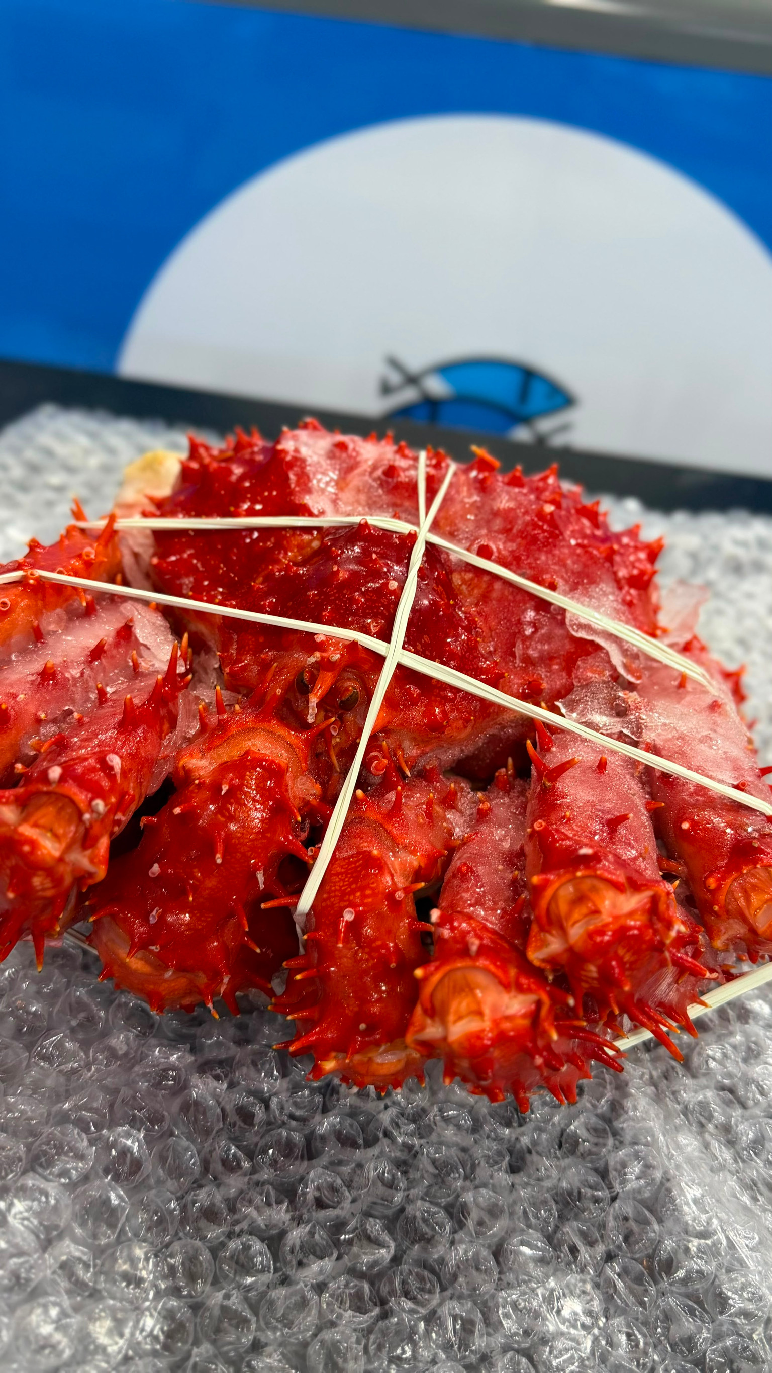 King Crab