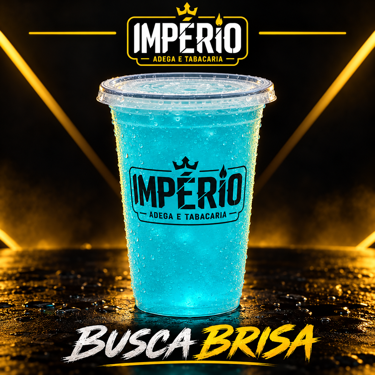 COPAO DE BUSCA BRISA