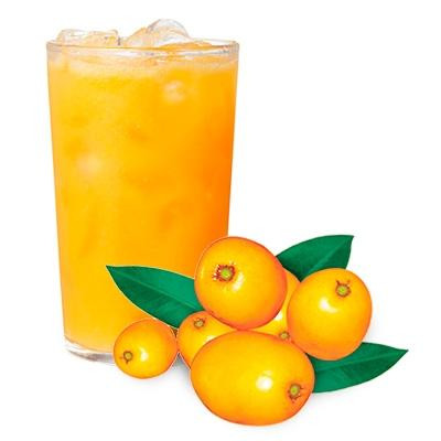 SUCO DE TAPEREBÁ