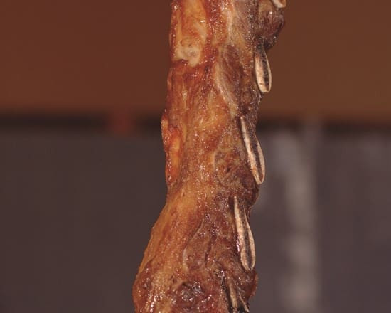 Costela
