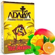 ADALYA TAZ MANGUI