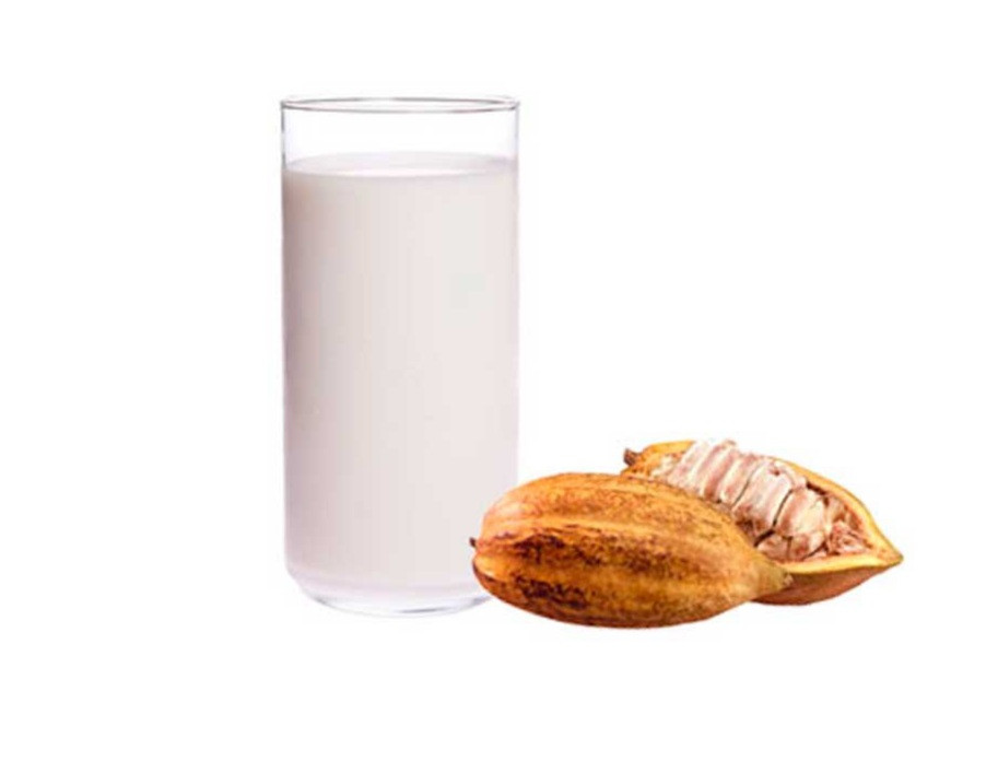 SUCO DE CACAU