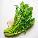 CHICORIA MACO