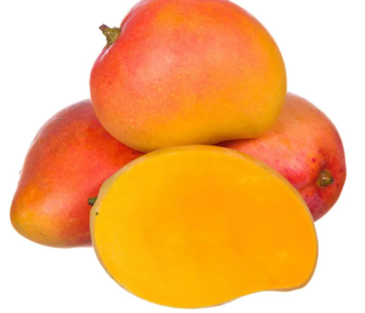 MANGA ROSA