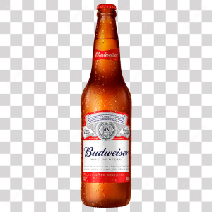 BUDWEISER 600 ML