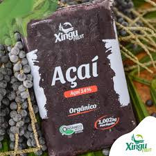 POLPA DE AÇAÍ 