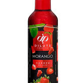 XAROPE DILUTE MORANGO