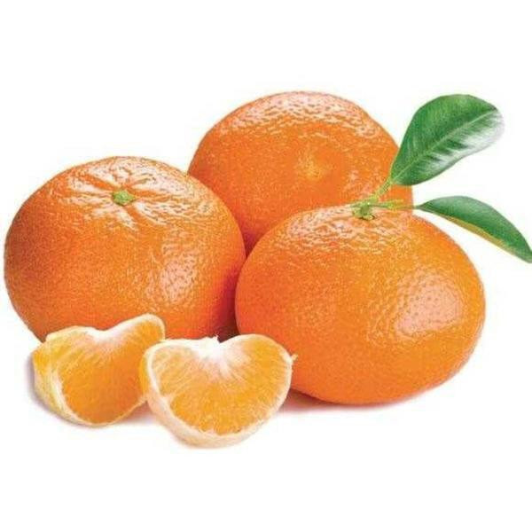 TANGERINA IMPORTADA KG