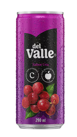 Suco Néctar Del Valle Uva 290ML