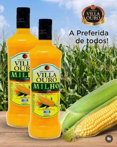 VILA OURO MILHO