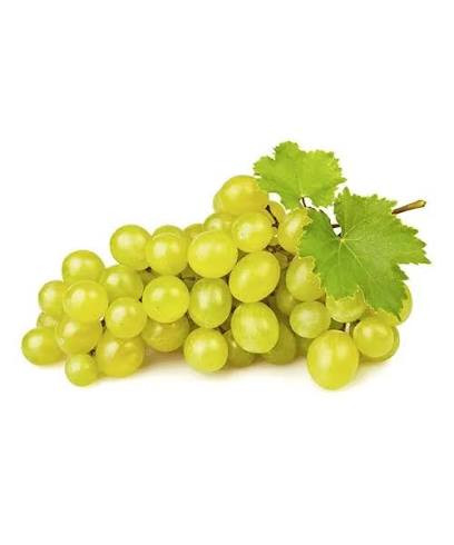 UVA ITALIA KG