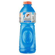 GATORADE BLUEBERRY