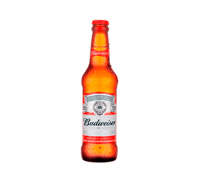 Cerveja Budweiser 330 ml